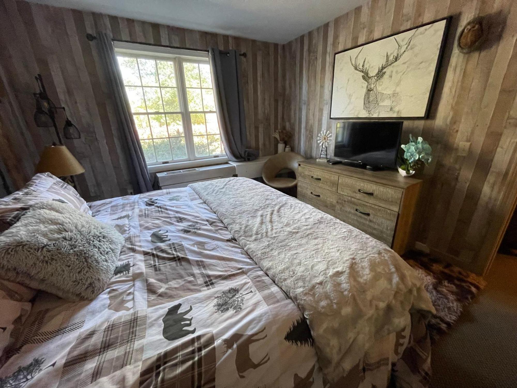 Apartment Gorgeous 1st Fl Mtn View Jiminy Sleeps 4 On Off Hancock